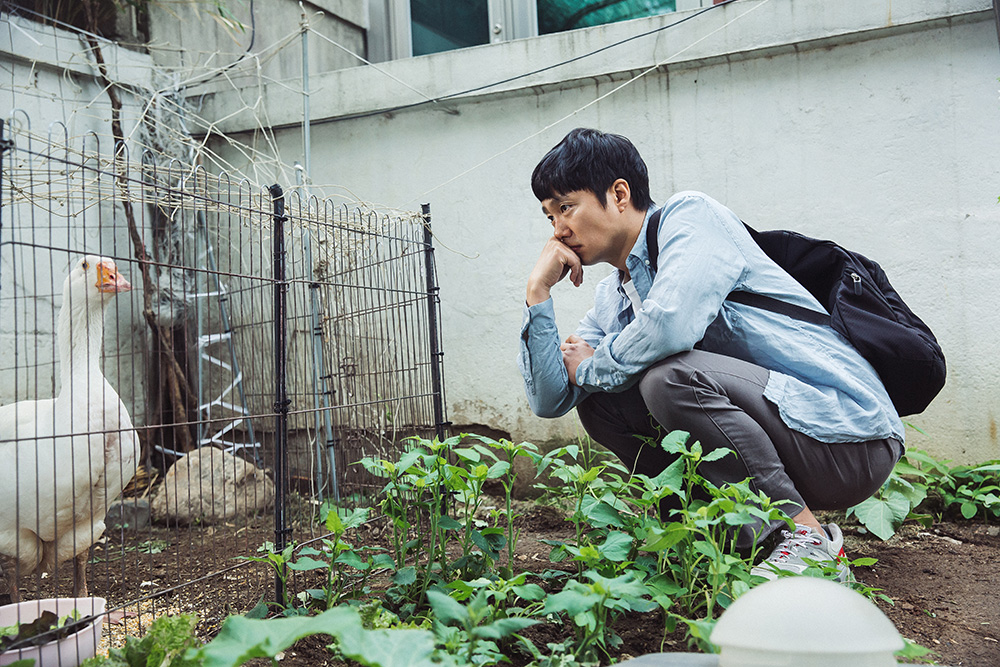 咏鹅剧照的剧照