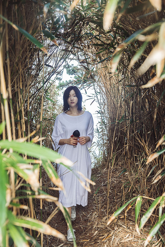 咏鹅剧照的剧照