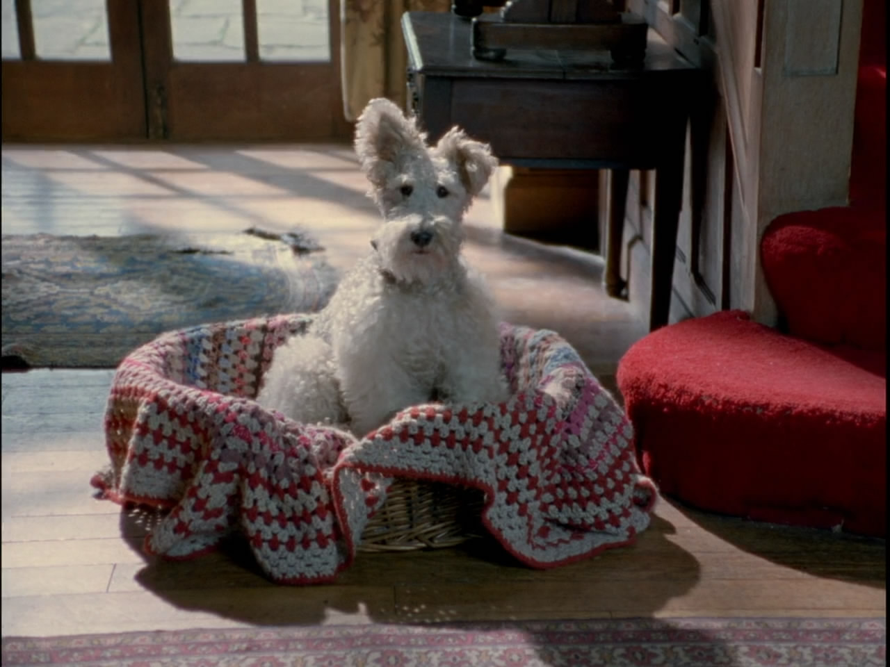 哑证人剧照的剧照