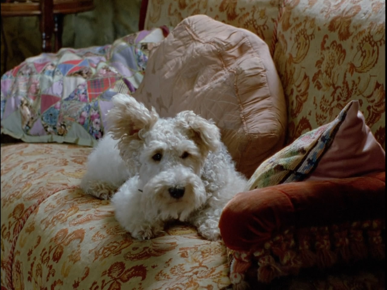 哑证人剧照的剧照