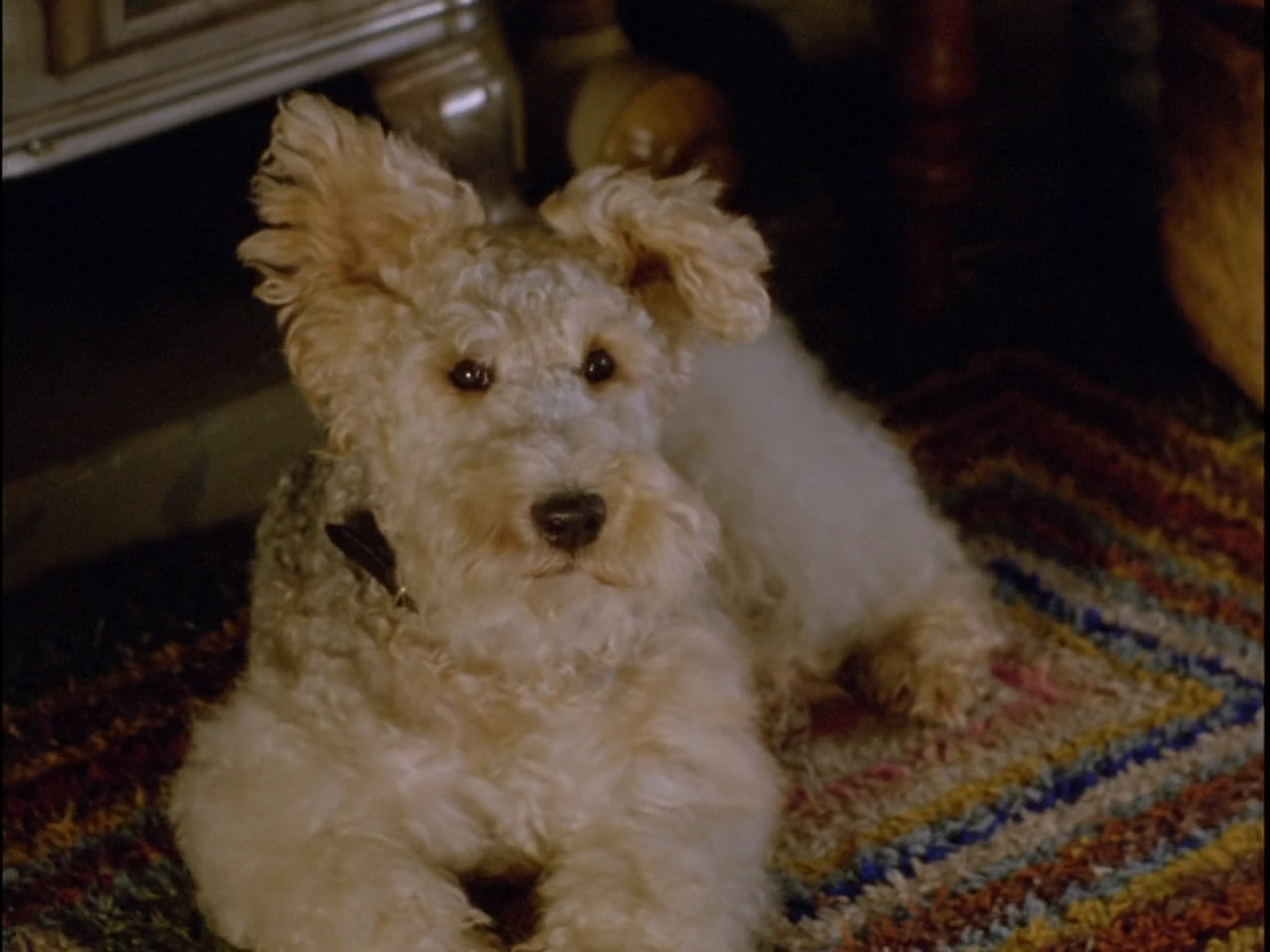 哑证人剧照的剧照