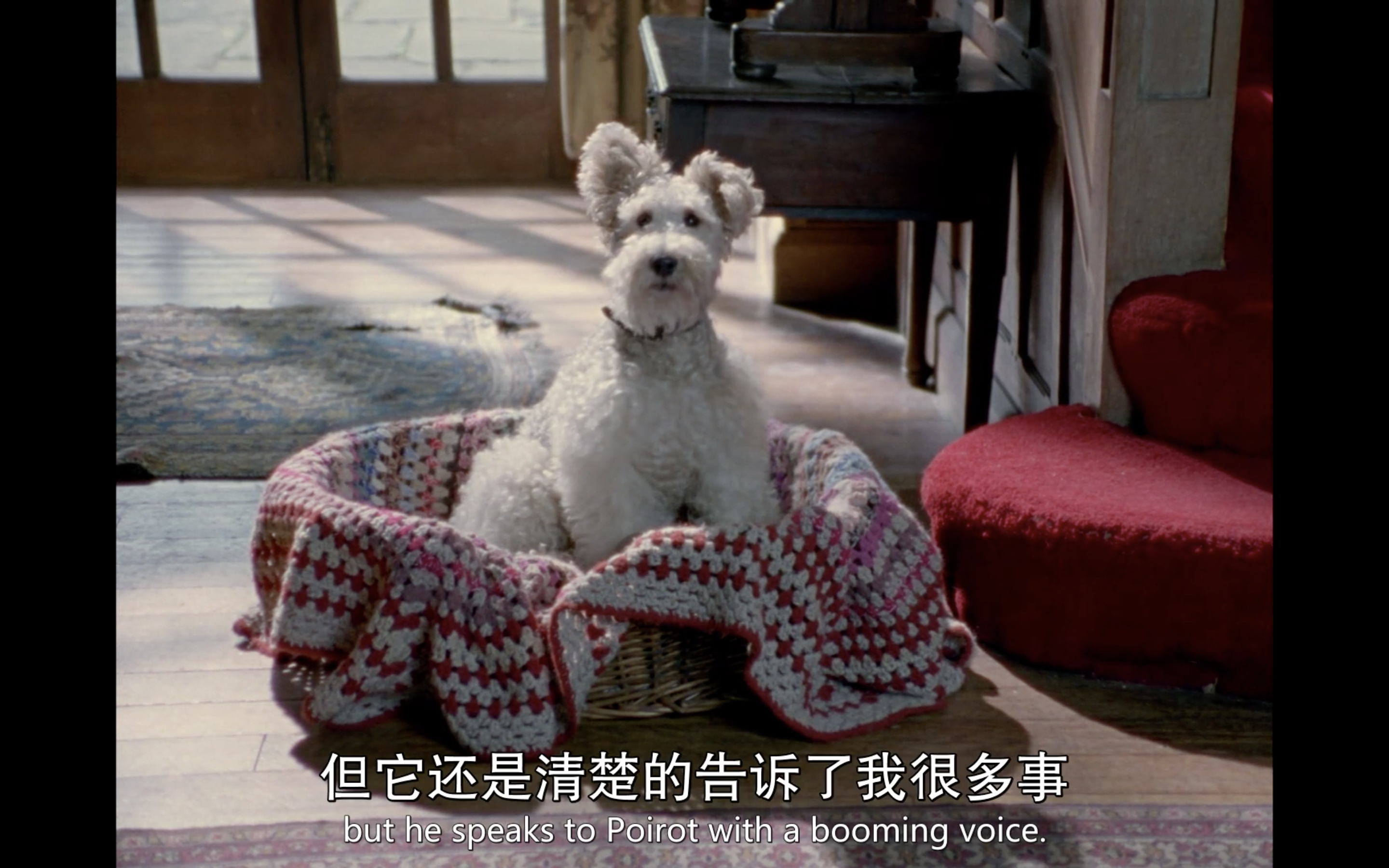 哑证人剧照的剧照