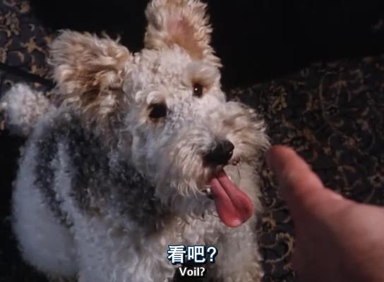 哑证人剧照的剧照