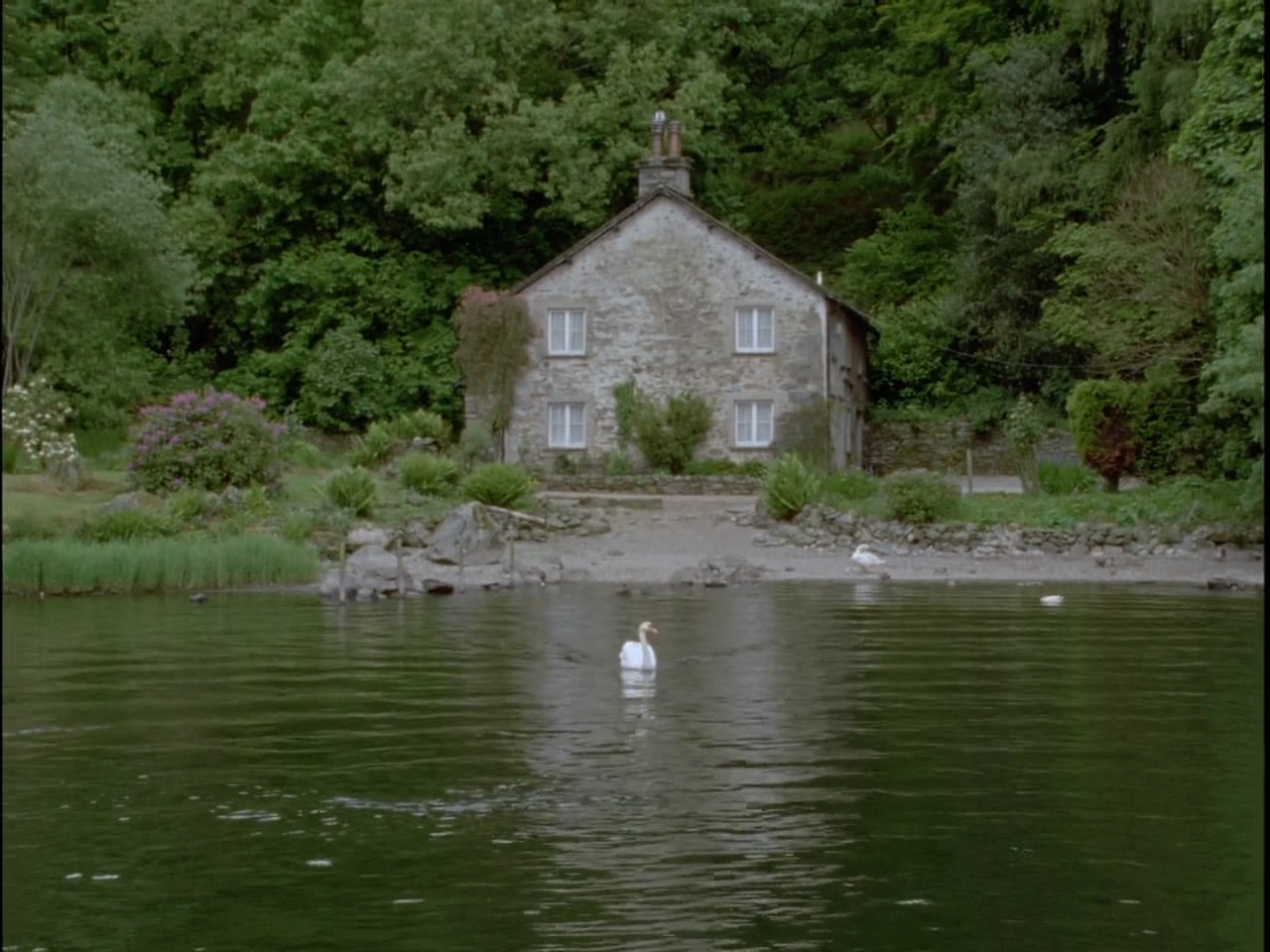 哑证人剧照的剧照