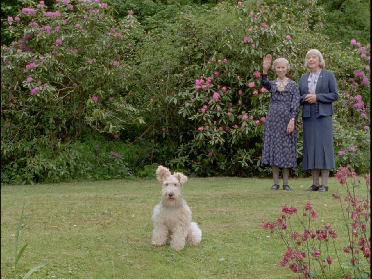 哑证人剧照的剧照