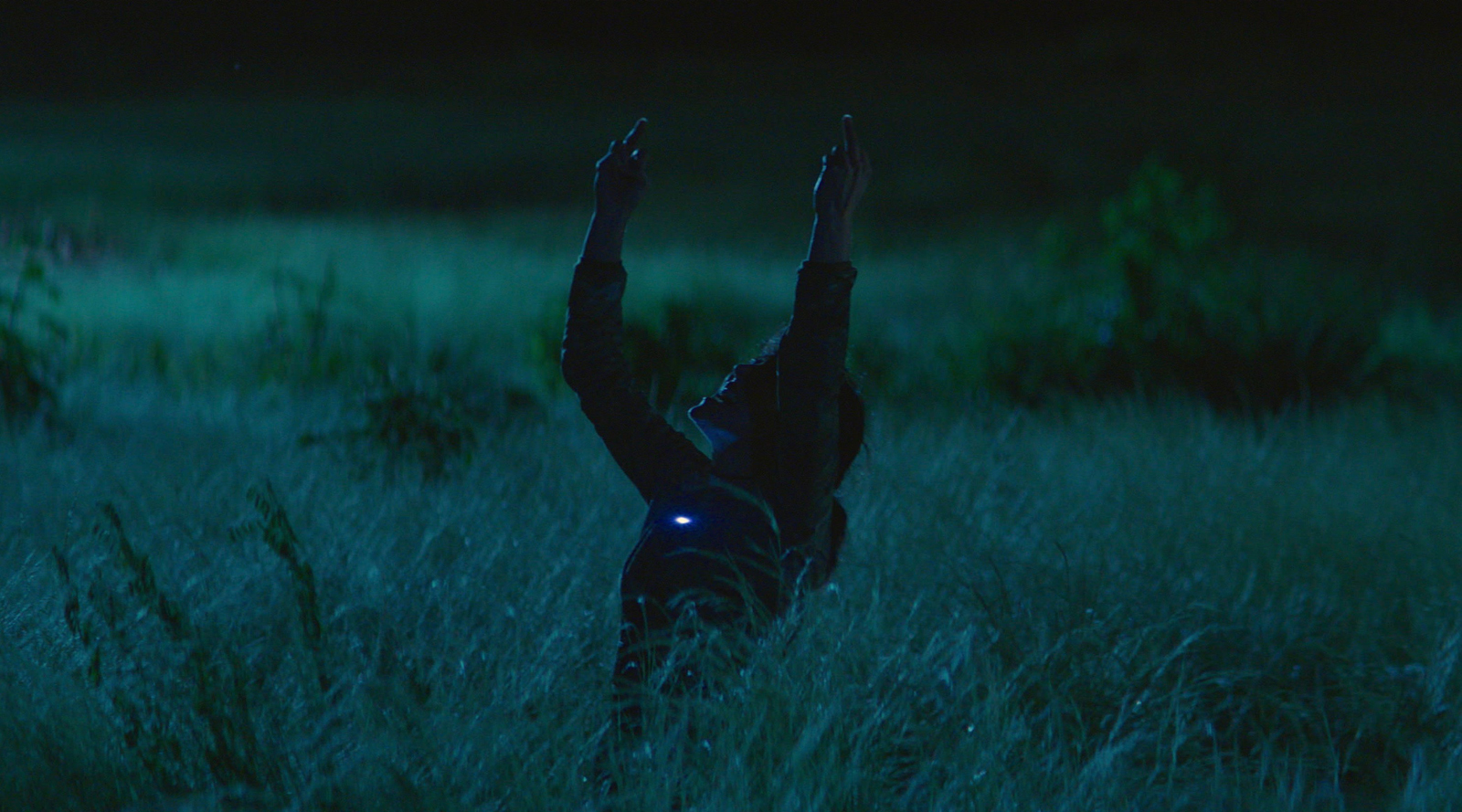 巴克劳剧照的剧照