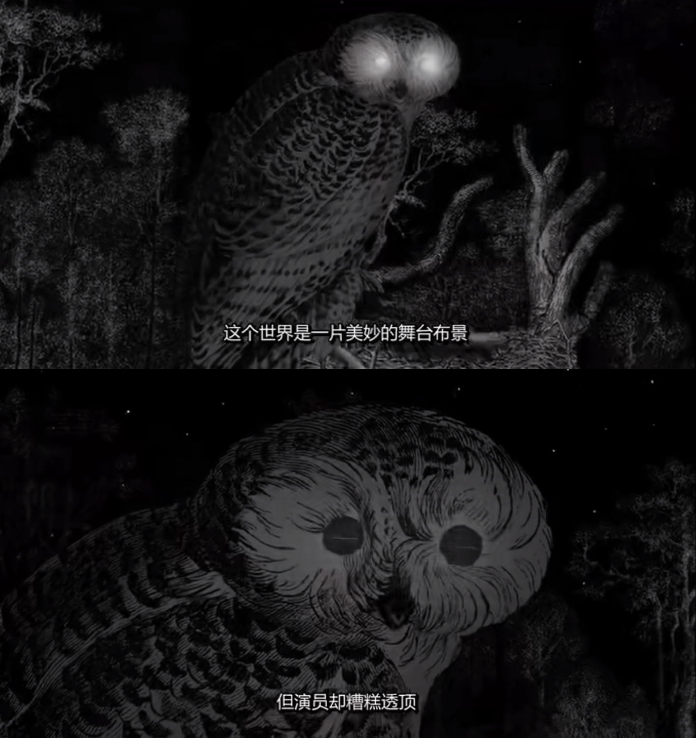 布景剧照的剧照