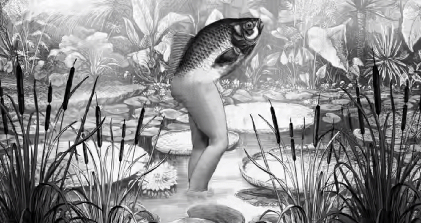 布景剧照的剧照