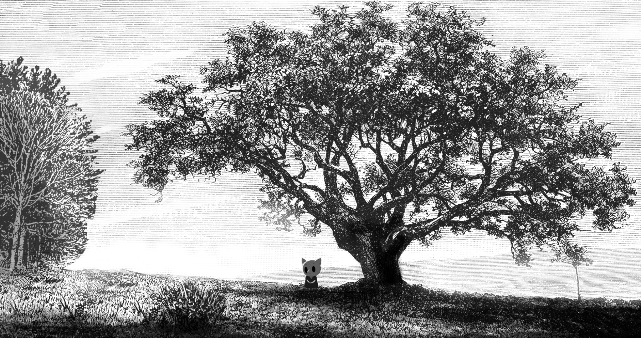 布景剧照的剧照