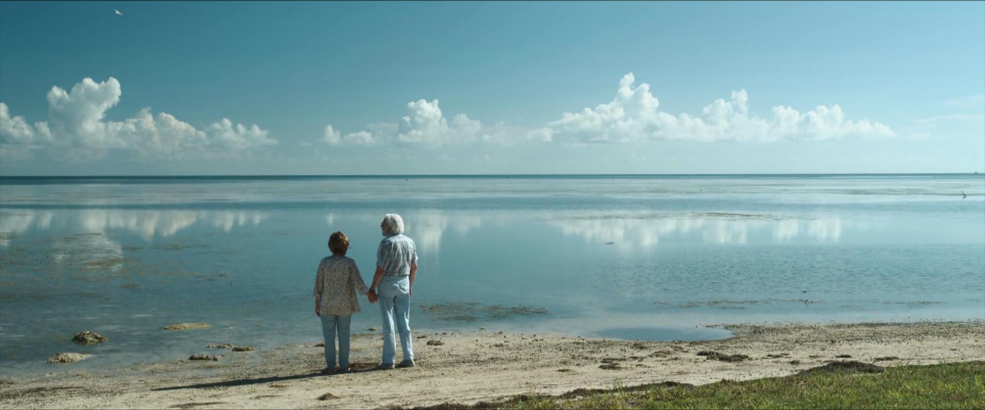 爱在记忆消逝前剧照的剧照