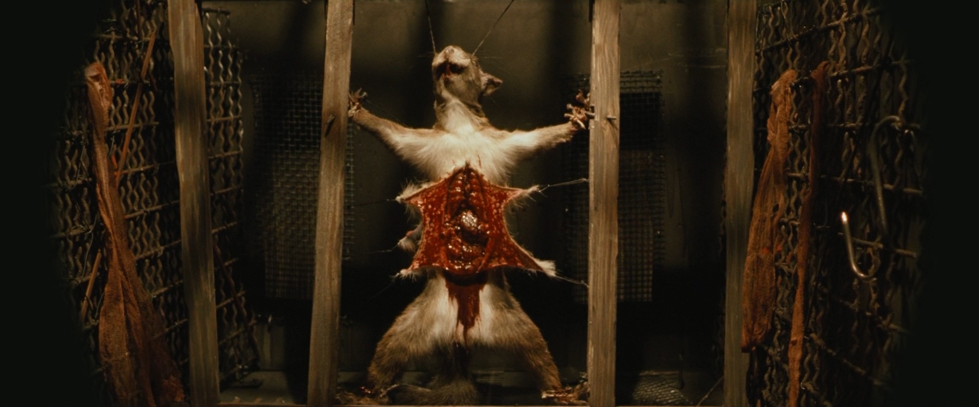 残虐你，娱乐我剧照的剧照