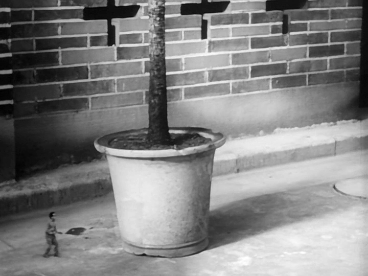 透明人与蝇男剧照的剧照