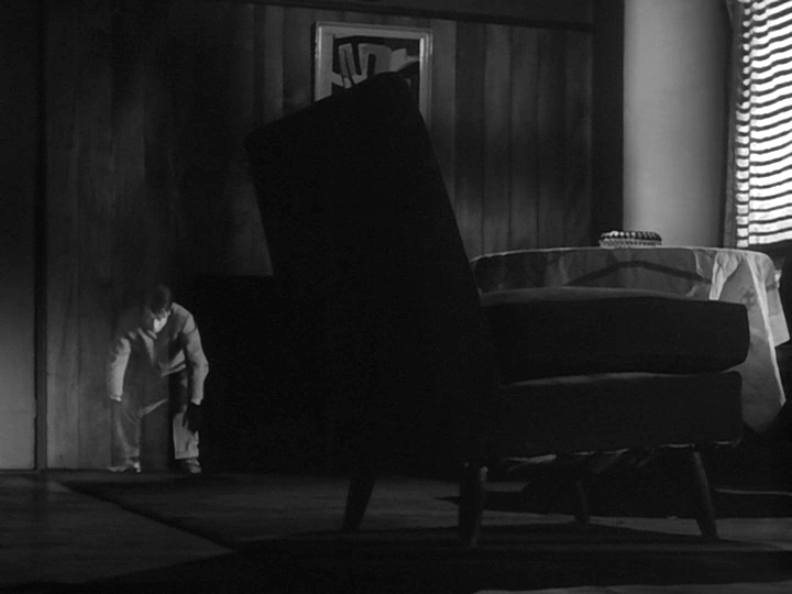 透明人与蝇男剧照的剧照