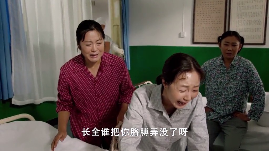 岁岁年年柿柿红剧照的剧照