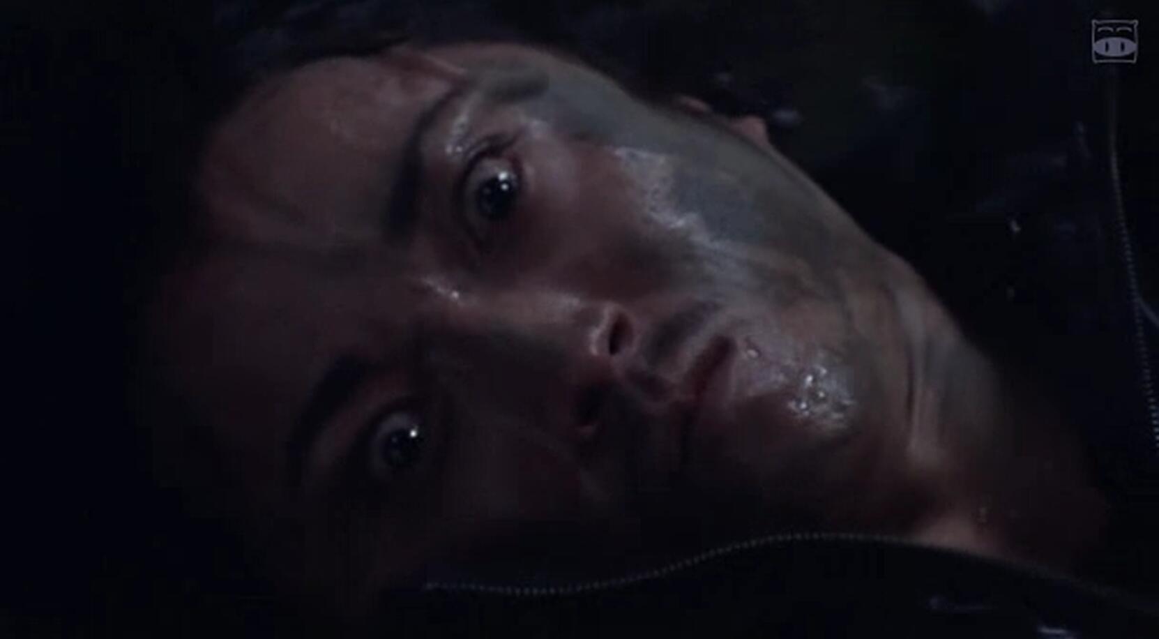 变色龙剧照的剧照