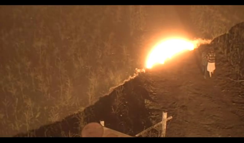 玉米田的小孩6剧照的剧照