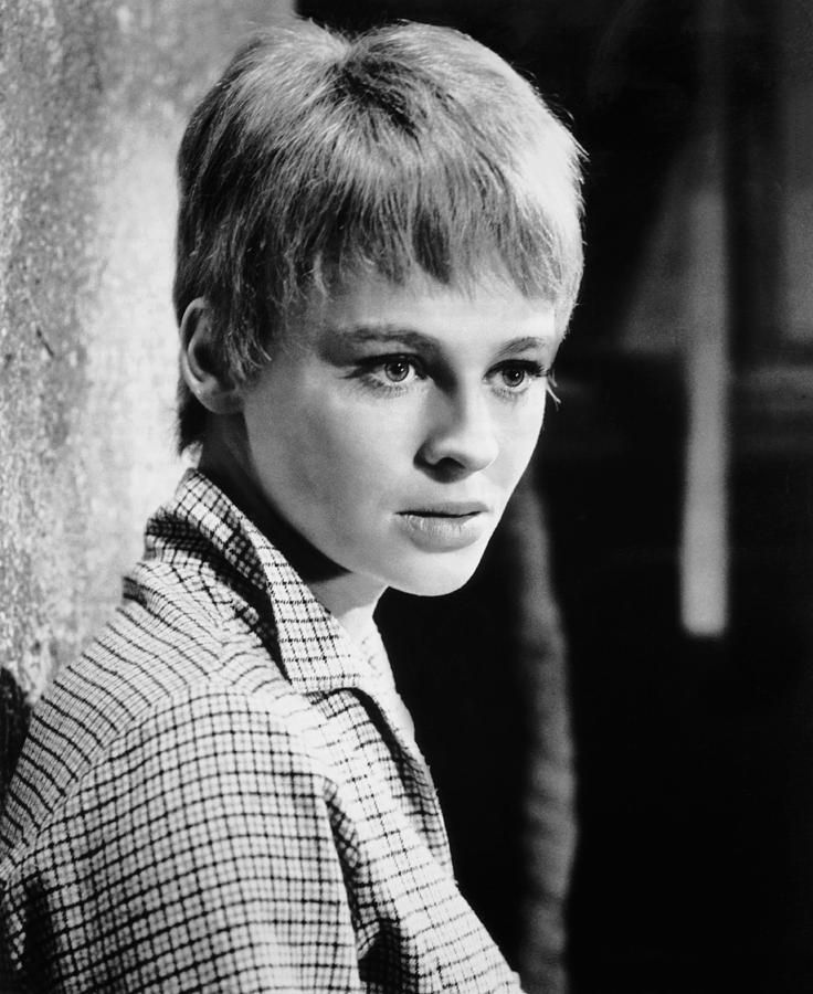 华氏451度剧照的剧照