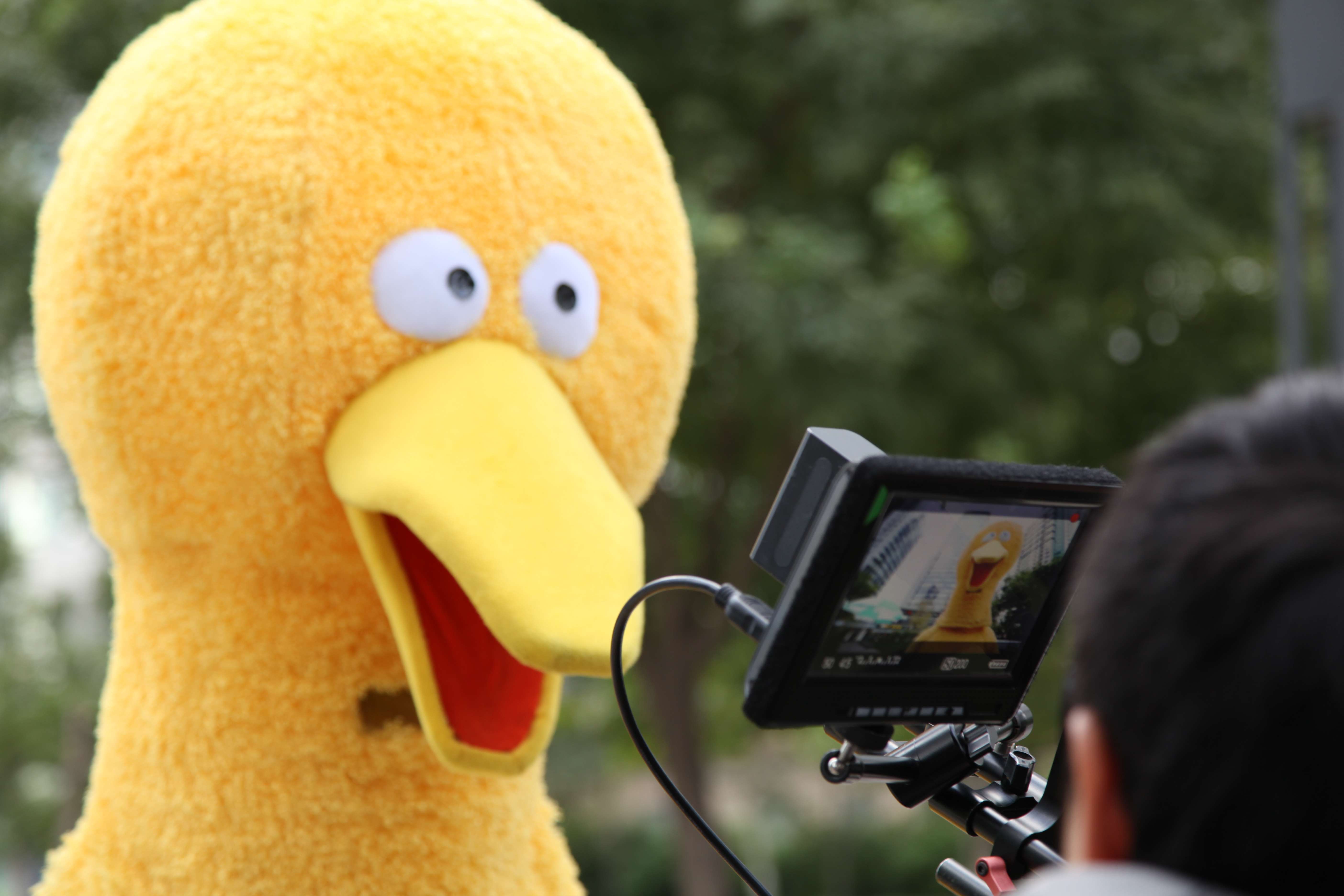 微博有鬼 第一季剧照的剧照