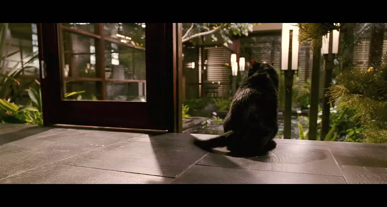 来电惊魂剧照的剧照