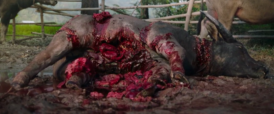 美杜莎之吻剧照的剧照