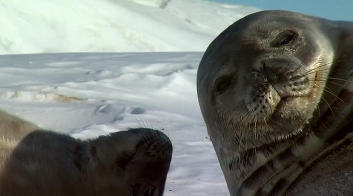 在世界尽头相遇剧照的剧照