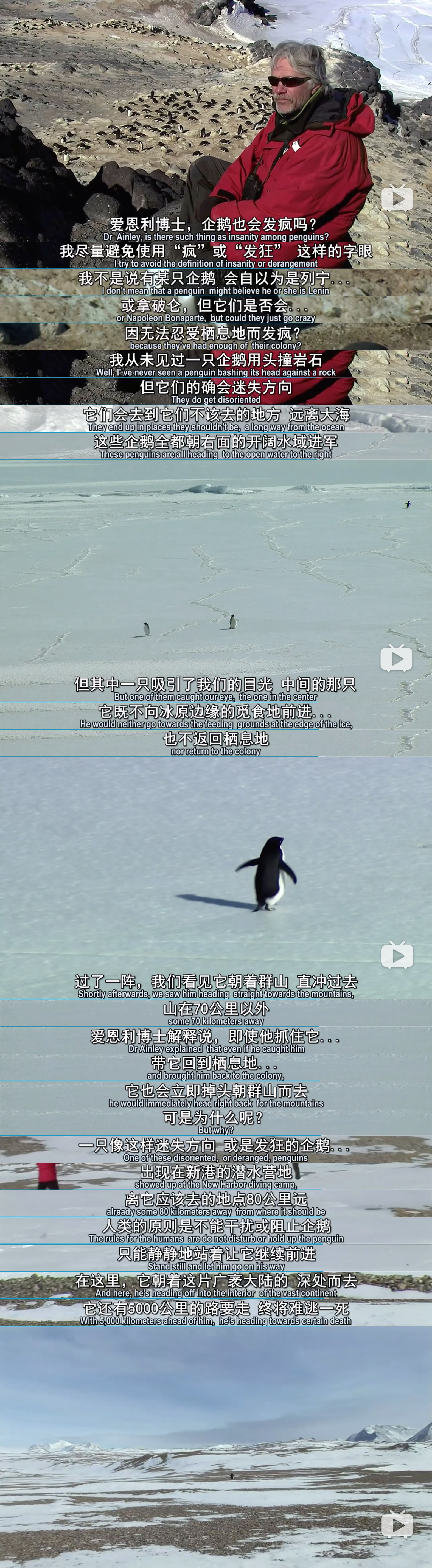 在世界尽头相遇剧照的剧照