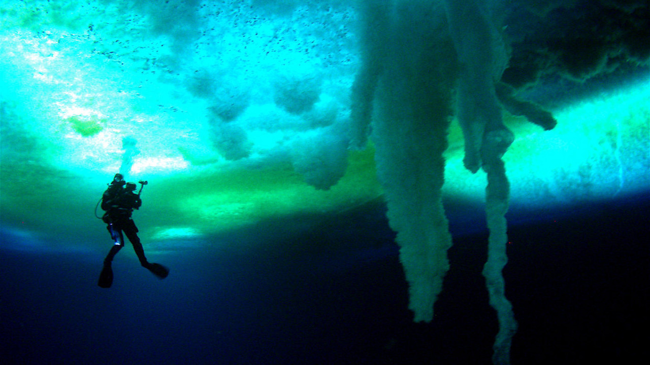在世界尽头相遇剧照的剧照