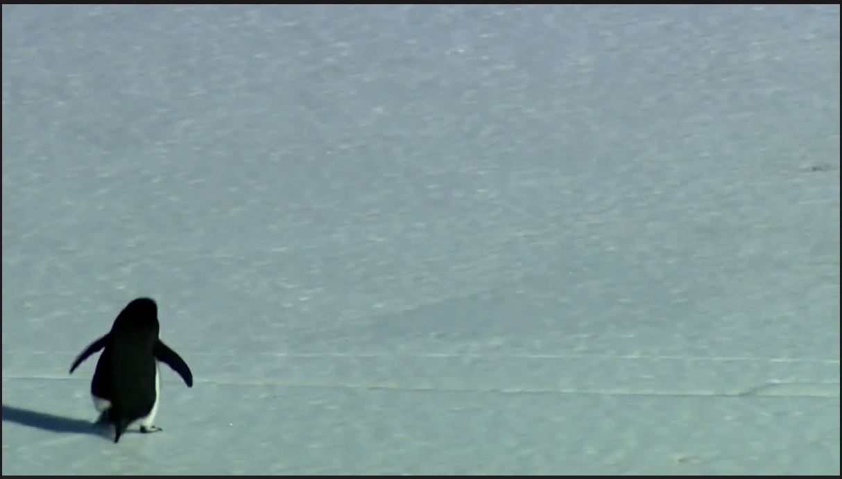 在世界尽头相遇剧照的剧照