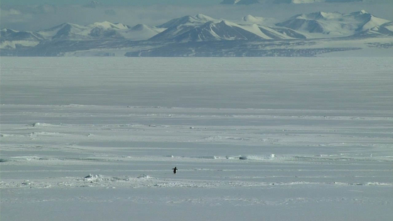 在世界尽头相遇剧照的剧照