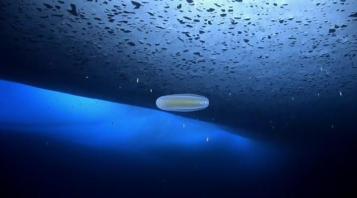 在世界尽头相遇剧照的剧照