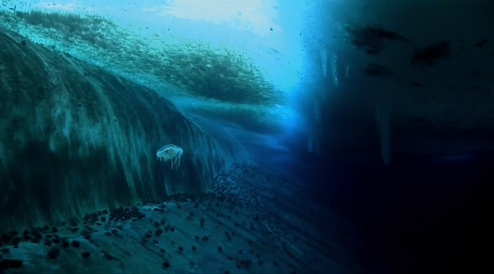 在世界尽头相遇剧照的剧照