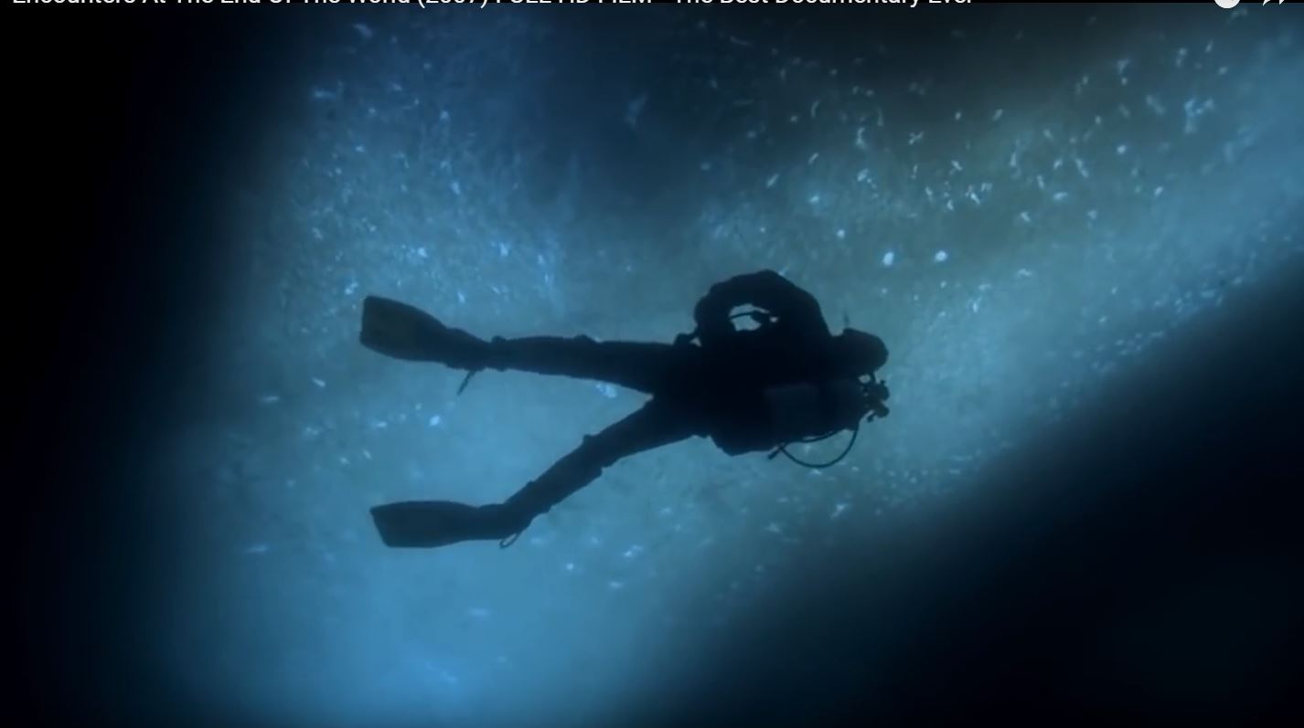 在世界尽头相遇剧照的剧照