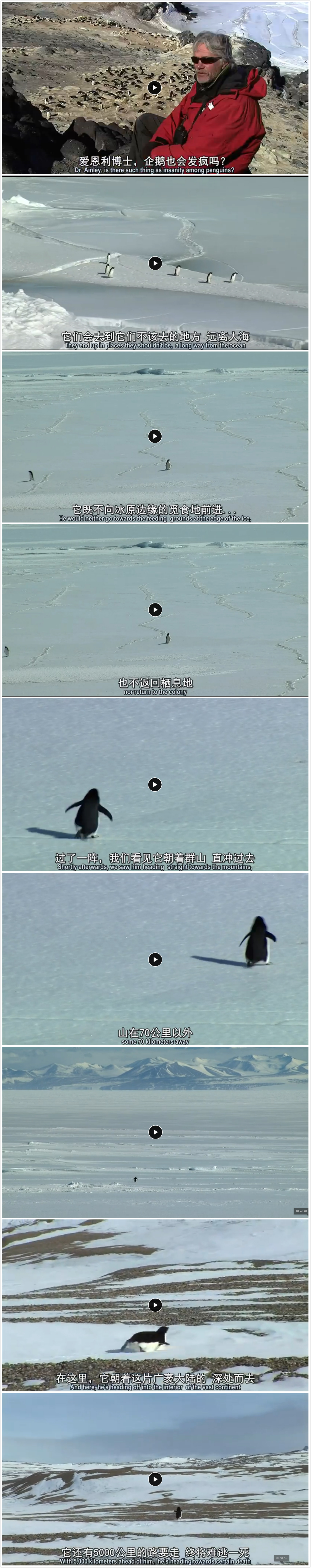 在世界尽头相遇剧照的剧照