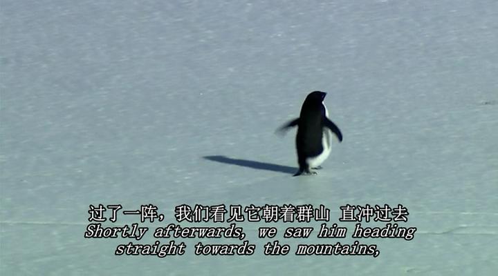 在世界尽头相遇剧照的剧照