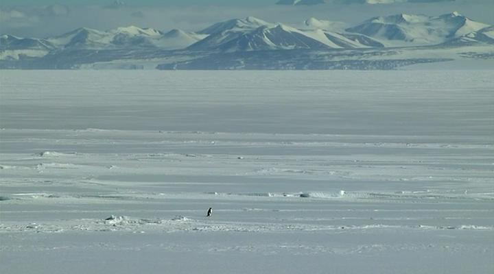 在世界尽头相遇剧照的剧照