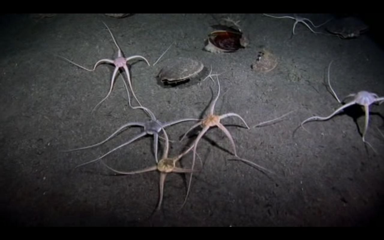 在世界尽头相遇剧照的剧照