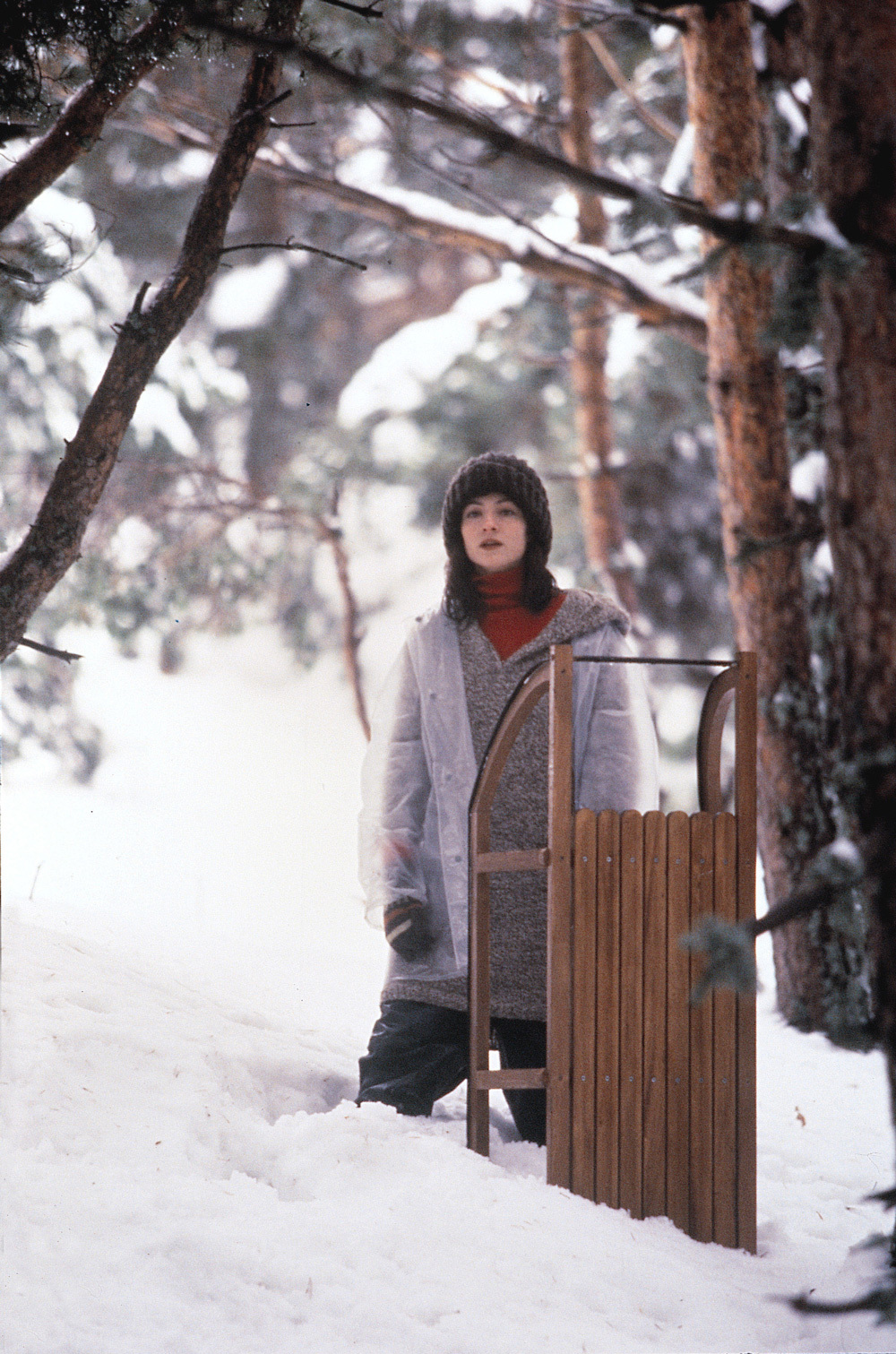 极地恋人剧照的剧照