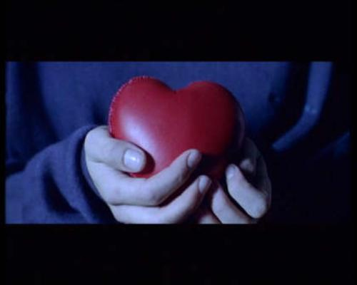 极地恋人剧照的剧照