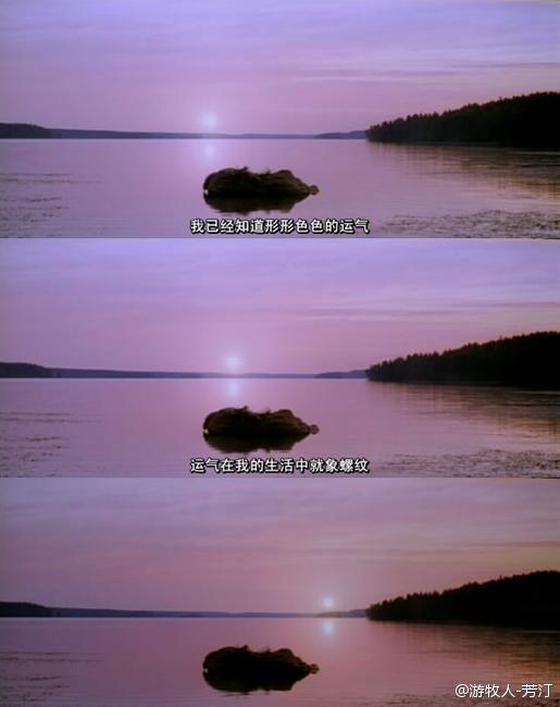 极地恋人剧照的剧照