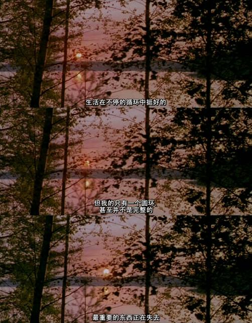 极地恋人剧照的剧照