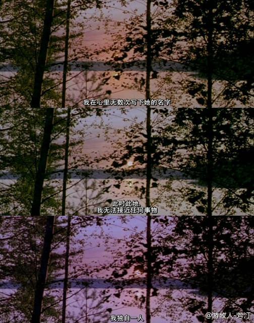 极地恋人剧照的剧照