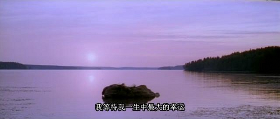 极地恋人剧照的剧照