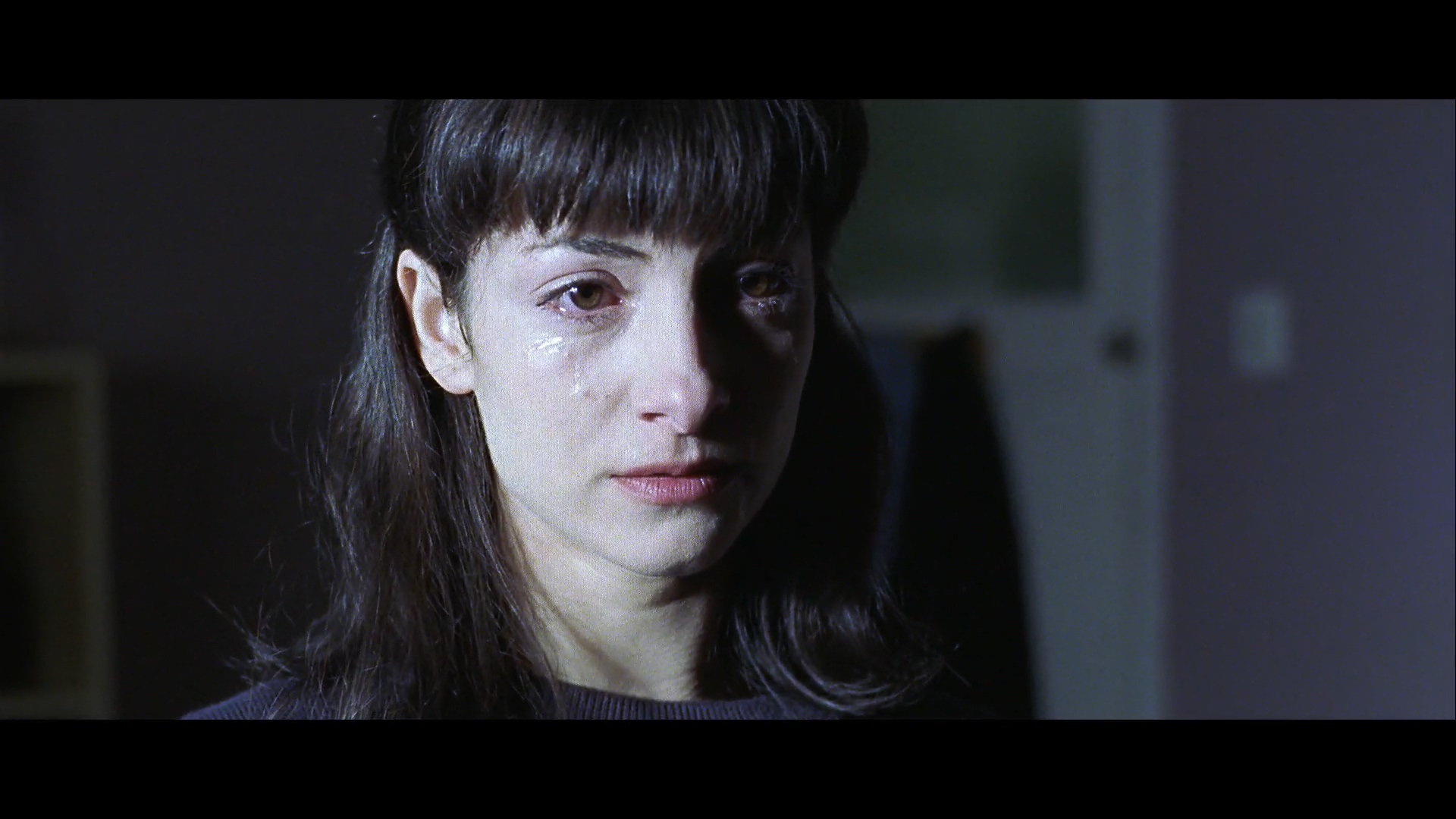 极地恋人剧照的剧照