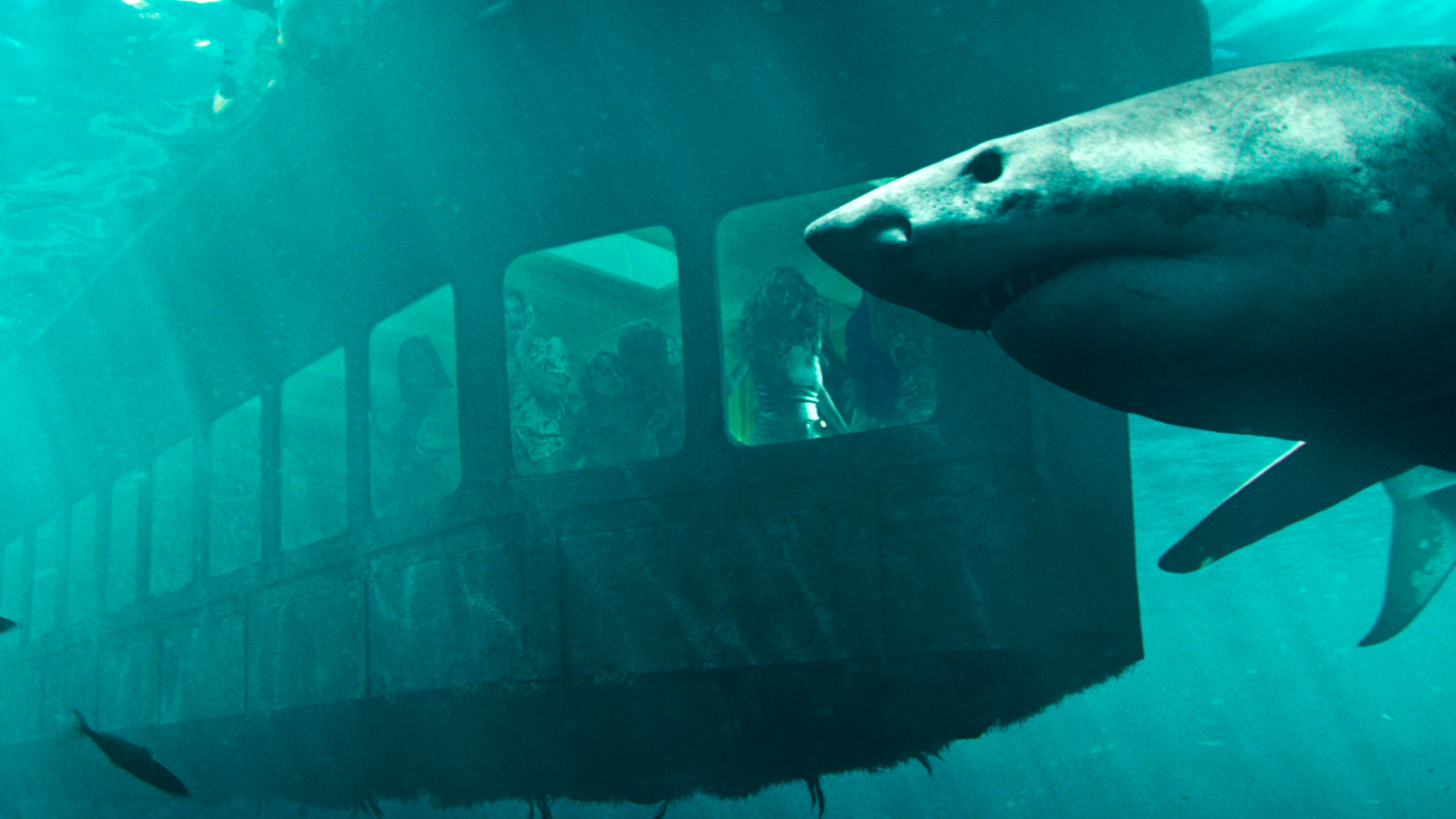 鲨海逃生剧照的剧照