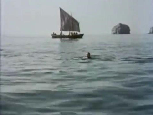 白色贵宾犬剧照的剧照