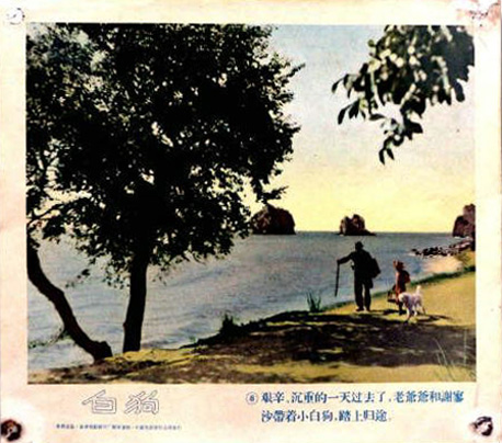 白色贵宾犬剧照的剧照