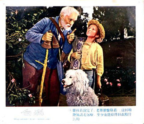 白色贵宾犬剧照的剧照