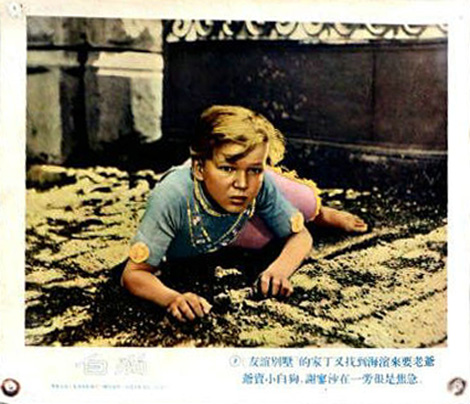 白色贵宾犬剧照的剧照