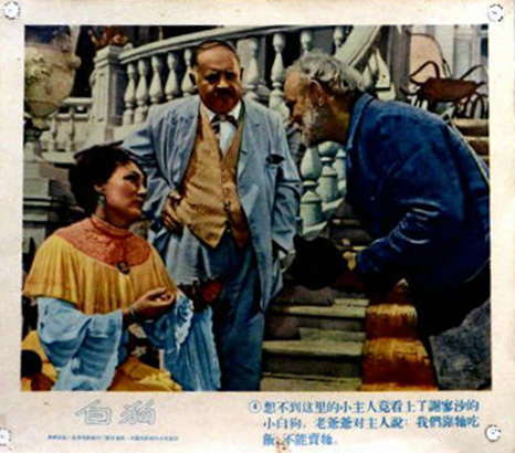 白色贵宾犬剧照的剧照