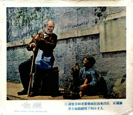 白色贵宾犬剧照的剧照